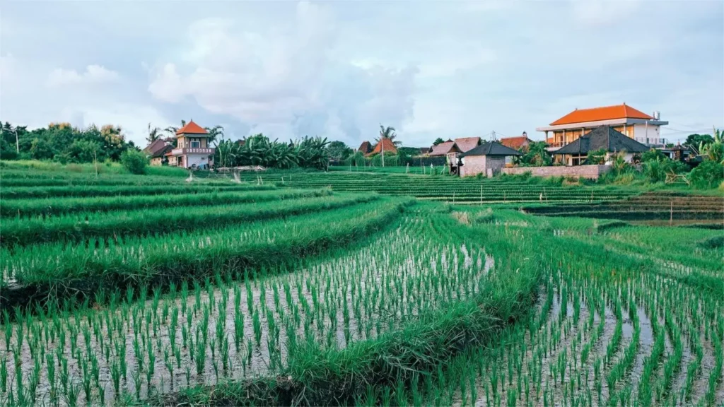 Portable Solar Power Station: Agricultural Applications in Remote Areas