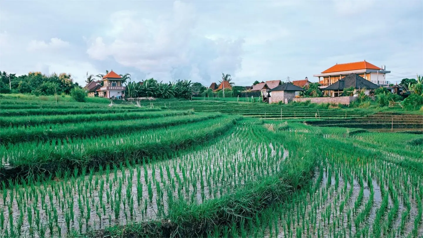 Portable Solar Power Station Agricultural Applications in Remote Areas
