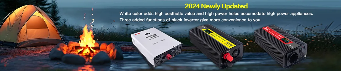 2024 Newly Updated